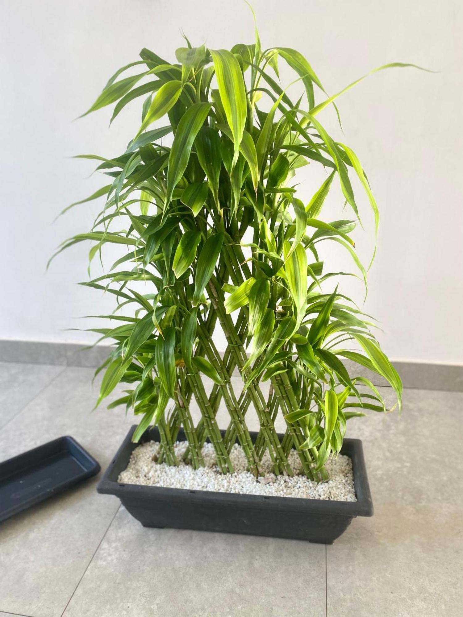Villa Riverside 阿鲁特伽马 外观 照片