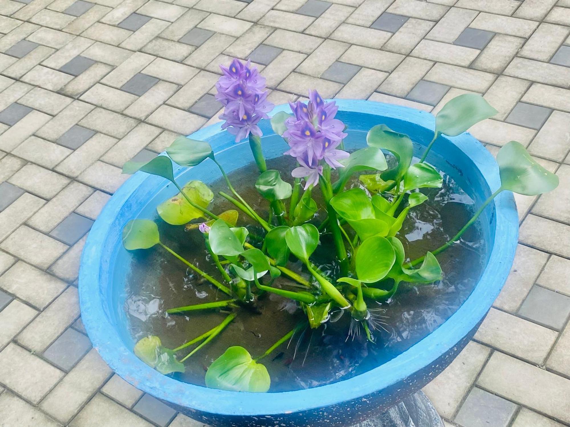 Villa Riverside 阿鲁特伽马 外观 照片